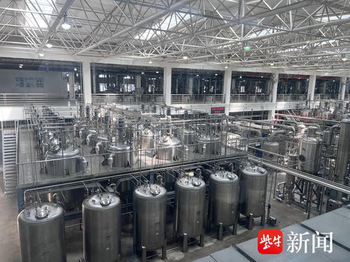 向智向新向绿 新质生产力下连云港网络技术的研究与实践